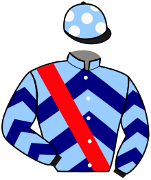 Casaque de LORD DARESBURY/EC MME J.CYPRES