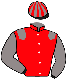 Casaque de ECURIE JUMELLE