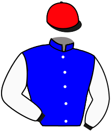 Casaque de EARL HARAS DE L'HOTELLERI