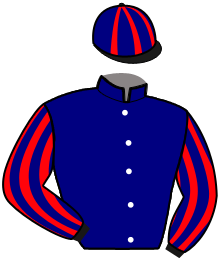 Casaque de Ecurie Thierry RAFFEGEAU