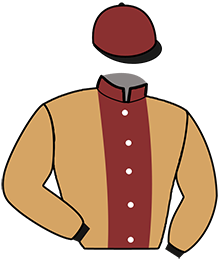 Casaque de P. FERCHAUD