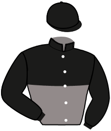 Casaque de David GESMY
