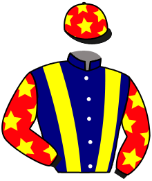 Casaque de DON MATIAS (AZL)