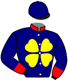Casaque de EL BANDIDO (AZL)