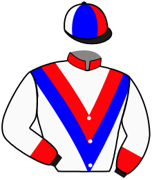 Casaque de EL BARRIAL