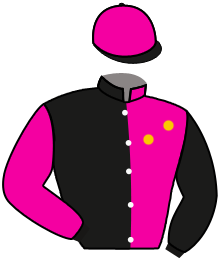 Casaque de EL BRUJO Y EL TORDO (R*)
