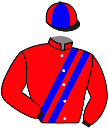 Casaque de HARAS LA GRINGA