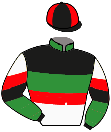 Casaque de TOROQUEMERO