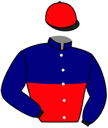 Casaque de Ecurie La CHAMPIONNERIE