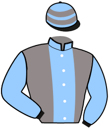 Casaque de S.A.S.U. Ecurie D'HEL