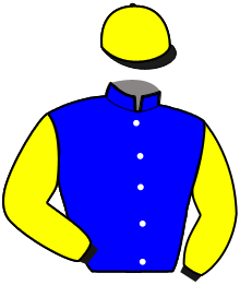 Casaque de Ecurie NELEKE