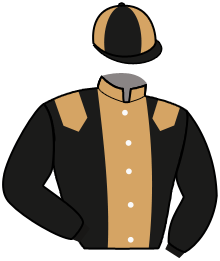 Casaque de Ecurie LES FRERES DU TROT