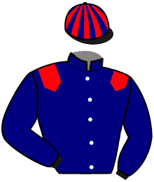 Casaque de Sté. Ent. Kévin VANDERSCHELDEN