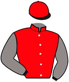 Casaque de Ecurie Alain LAURENT