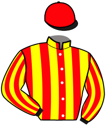 Casaque de HORSE PROJECTS