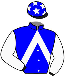 Casaque de Ecurie du RIL