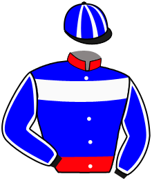 Casaque de WALTER-MOMMERT KARIN