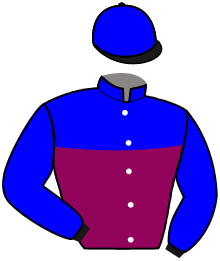 Casaque de STALL ROYAL MEMORY