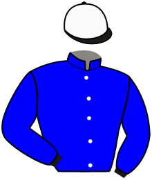 Casaque de STAL SUPREME