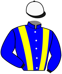 Casaque de C.A.M. ROELING
