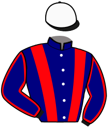 Casaque de A.T.M. WILDERBEEK