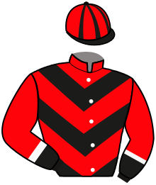 Casaque de G.J. SMIT