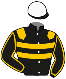 Casaque de CARPE DIEM STABLES