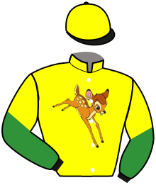 Casaque du n°5