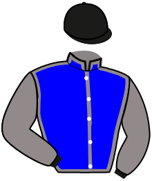 Casaque du n°3