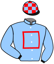 Casaque du n°8