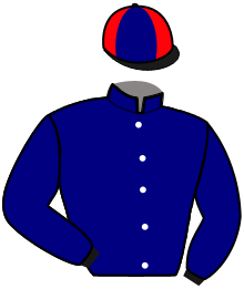 Casaque du n°4