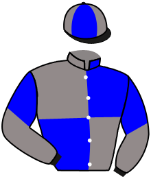 Casaque du n°8