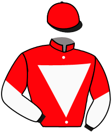 Casaque du n°2
