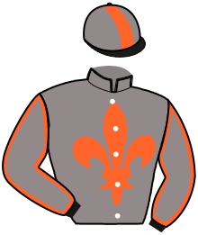 Casaque du n°3