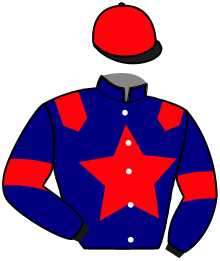 Casaque du n°2