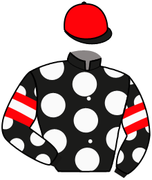 Casaque du n°1