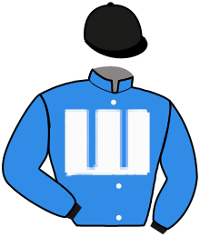 Casaque du n°10