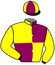 Casaque du n°3