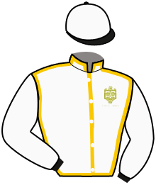 Casaque du n°6