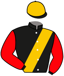 Casaque du n°9