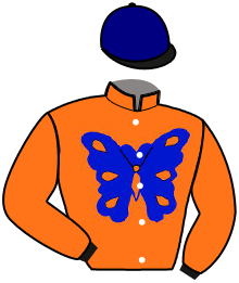 Casaque du n°10
