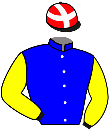 Casaque du n°11