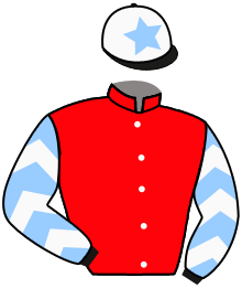 Casaque du n°2