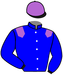 Casaque du n°2