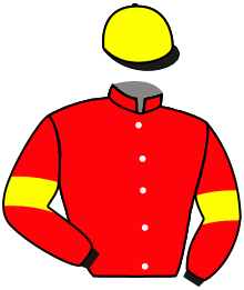 Casaque du n°3