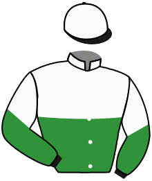 Casaque du n°6