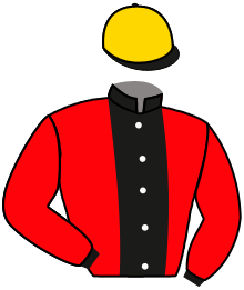 Casaque du n°8