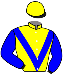 Casaque du n°11