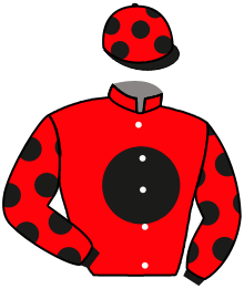Casaque du n°13