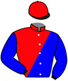 Casaque du n°3